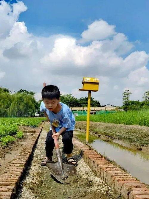 乡野野潮在线视频,探寻乡村生活的诗意与活力