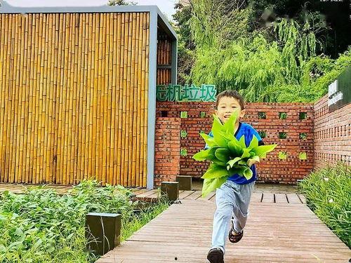 乡野野潮在线视频,探寻乡村生活的诗意与活力