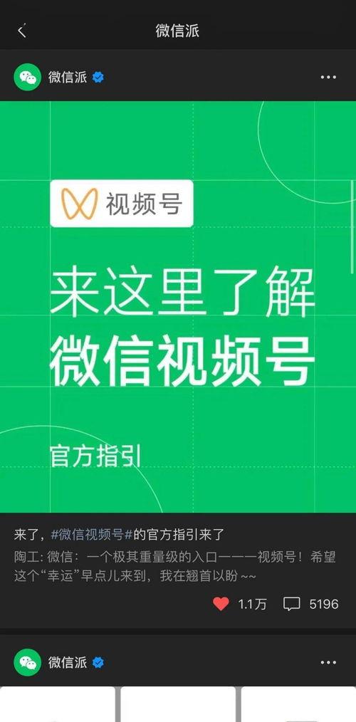 号在线视频观看,揭秘热门话题与趣味瞬间