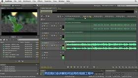 在线视频国家精品,引领教育创新与传播的典范之作