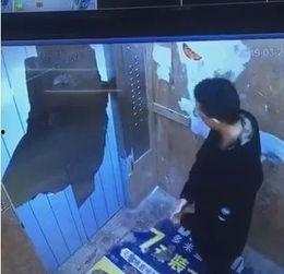 电梯变态 在线视频,变态在线视频揭秘