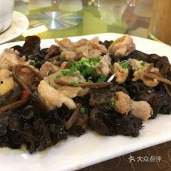 拍木耳在线视频,带你领略田园风光与丰收喜悦
